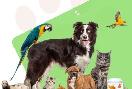 Pet shop e Veterinários