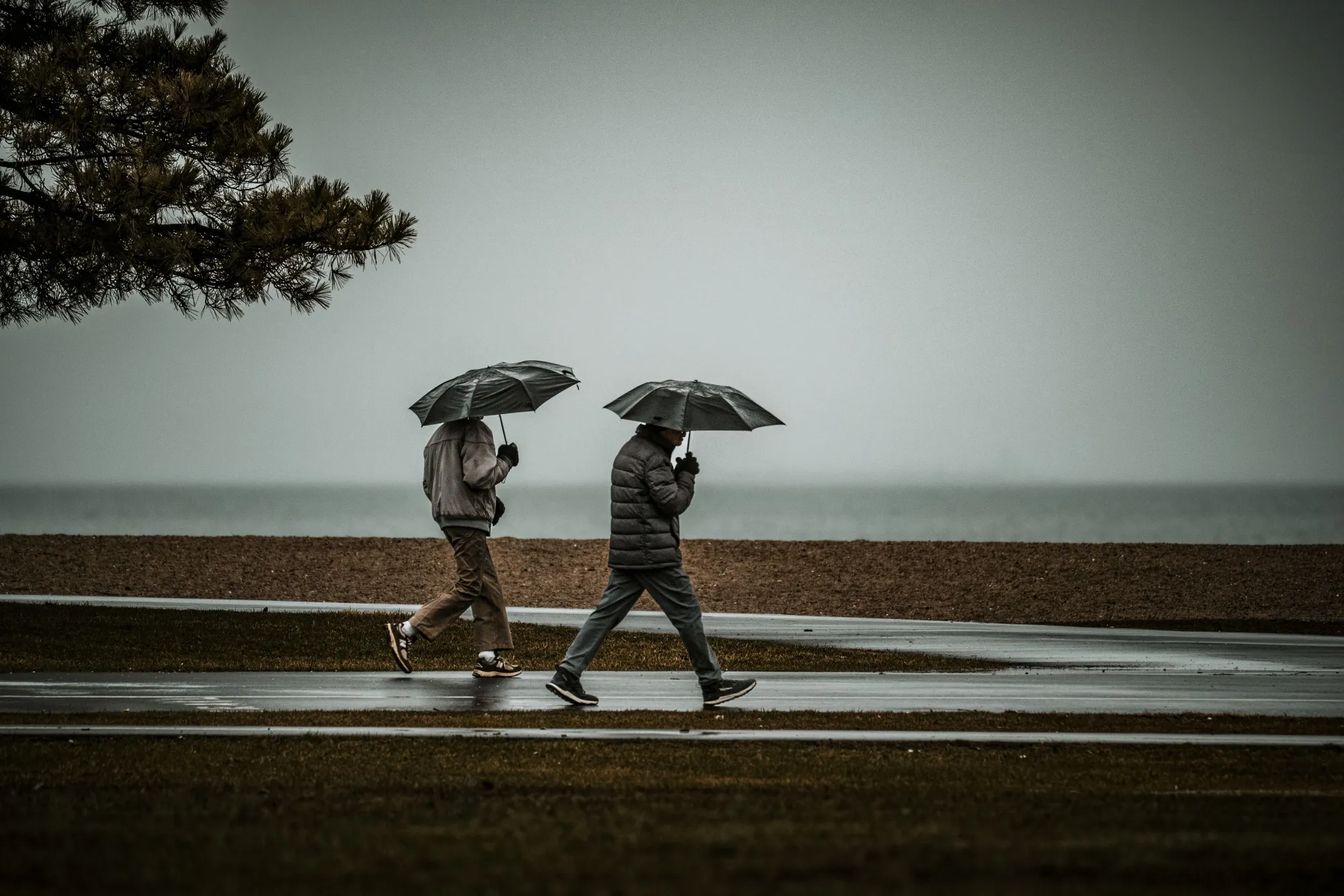 Chuva deve continuar na Grande Ilha durante a semana, aponta previsão do tempo